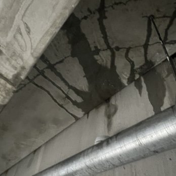 Wildflower - Garage leaks. Stability. - Apartments Near Me - Gainesville, Florida