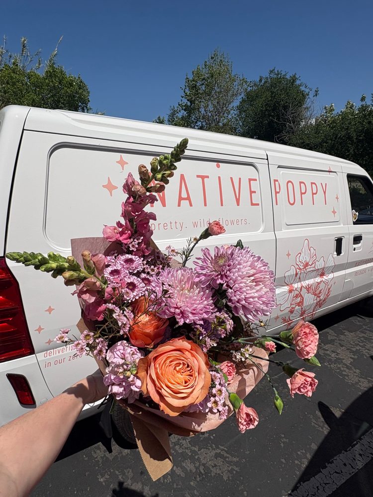 Native Poppy