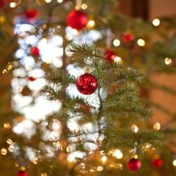 Holiday Traditions