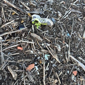San Leandro Marina - More & more garbage and debris - Parks Near Me - San Leandro, California San Leandro Marina - More & more garbage and debris - Parks Near Me - San Leandro, California
