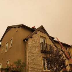 Golden State Critter Control - Bird and Rodent proofing