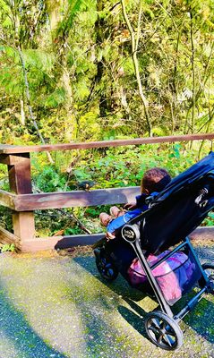 Northwest Trek Wildlife Park by null