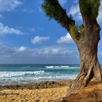 HiAccounting - We're proud to serve the diverse accounting needs of The Hawaiian Islands! - Tax Services Near Me - Honolulu, Hawaii HiAccounting - We're proud to serve the diverse accounting needs of The Hawaiian Islands! - Tax Services Near Me - Honolulu, Hawaii