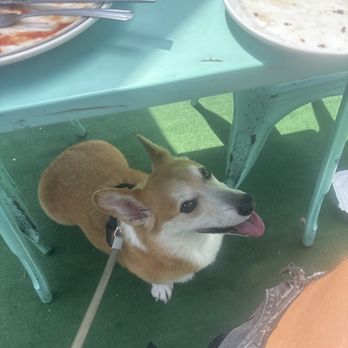 Dick Church's - One happy pup! - Diners Near Me - Costa Mesa, California Dick Church's - One happy pup! - Diners Near Me - Costa Mesa, California