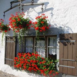 Métairie D'aarberg