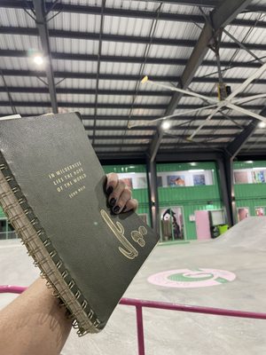 Skatebird Miami by null