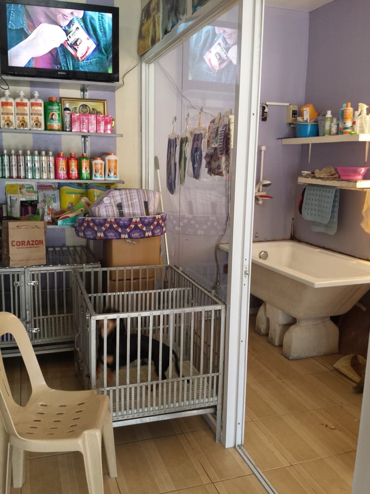 THE PURPLE GROOM Updated September 2024 73 Xavierville Ave., Loyola