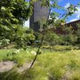 Photo of One Bennett Park