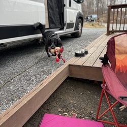 Natural Bridge / Lexington KOA