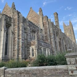 Princeton University
