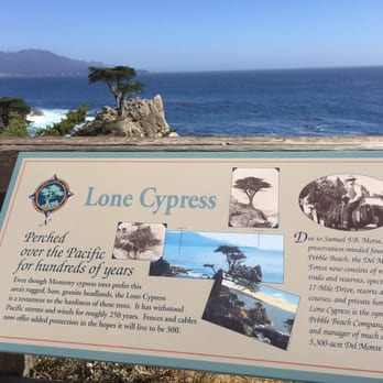 The Lone Cypress - Landmarks & Historical Buildings Near Me - Del Monte Forest, California