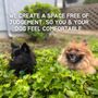 Photo of PupHub Dog Training