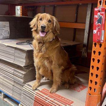 Manners with Meg Dog Training - Pet Training Near Me