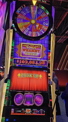 The Venetian Expo by null
