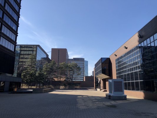 Jackson Square by null