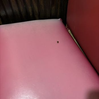 Frontera Grill - Roach spotting - Mexican Near Me - Birmingham, Alabama