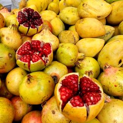 Tianguis de los viernes en la Condesa