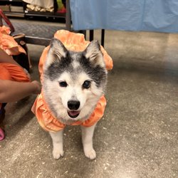Petco