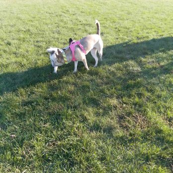 Meadow Run Dog Park - Pet Groomers Near Me - Kalamazoo Township, Michigan