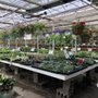 Photo of Larry Omalia's Greenhouses