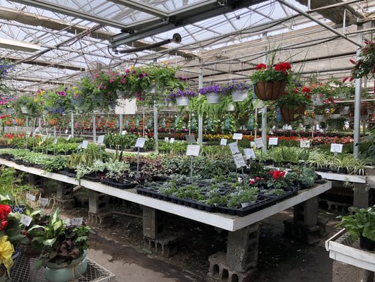 Larry Omalia's Greenhouses