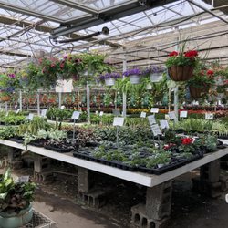 Larry Omalia's Greenhouses - Lots of houseplants!