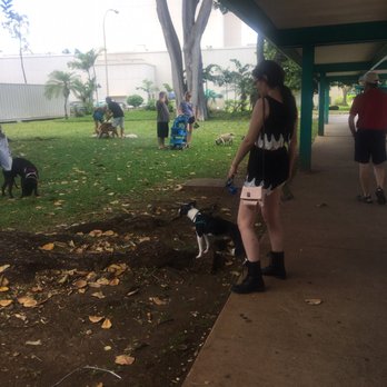 Hawaii Pet Expo - Andrea & Iggy - Festivals Near Me - Honolulu, Hawaii Hawaii Pet Expo - Andrea & Iggy - Festivals Near Me - Honolulu, Hawaii