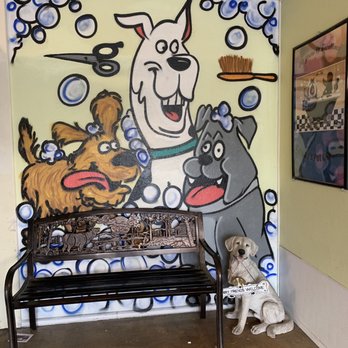Kaycee's Pet & Groom - Pet Groomers Near Me - San Leandro, California Kaycee's Pet & Groom - Pet Groomers Near Me - San Leandro, California