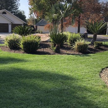 Al's Landscape Construction - Front yard - Landscaping Near Me - Fresno, California Al's Landscape Construction - Front yard - Landscaping Near Me - Fresno, California