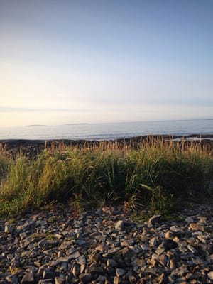 Seawall Campground by null
