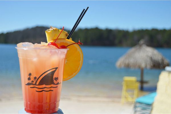 LandShark Bar & Grill at Lanier Islands by null