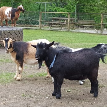 Maplewood Farm - Farms Near Me - North Vancouver, British Columbia