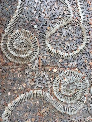 Greenwich Locksmiths by null