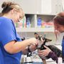 Photo of Veterinary Cancer Group SB, A Thrive Pet Healthcare Partner