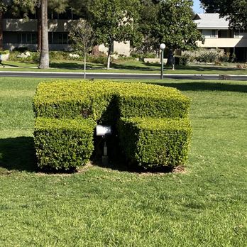 Wrigley Gardens - Hiding a spot light ! - Botanical Gardens Near Me - Pasadena, California