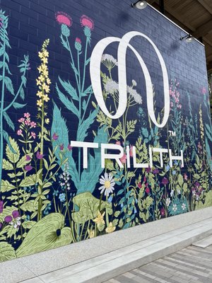 Trilith Studios by null