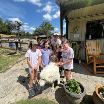 Cathy's Critters - Petting Zoos Near Me - Princeton, Texas Cathy's Critters - Petting Zoos Near Me - Princeton, Texas
