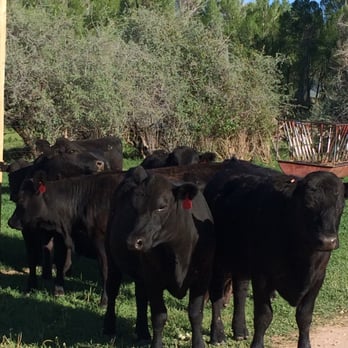 Vail Meat - Ranches Near Me