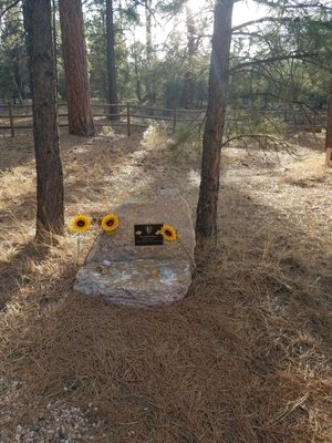 Grand Canyon Pioneer Cemetery by null