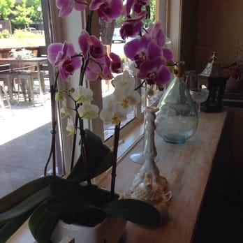 Pushkin's Bakery - Bakeries Near Me - Sacramento, California Pushkin's Bakery - Bakeries Near Me - Sacramento, California