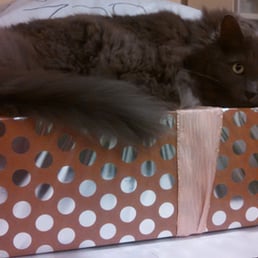 Gandalf the Gray.