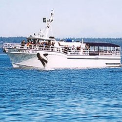 Burlington / Anacortes KOA