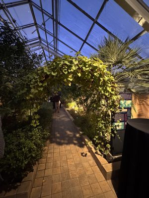 Rawlings Conservatory by null