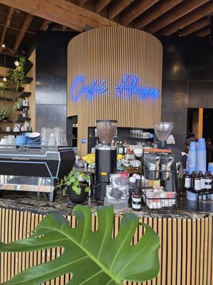 Storyville Coffee Queen Anne by null