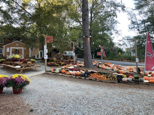 Perkins Orchard by null