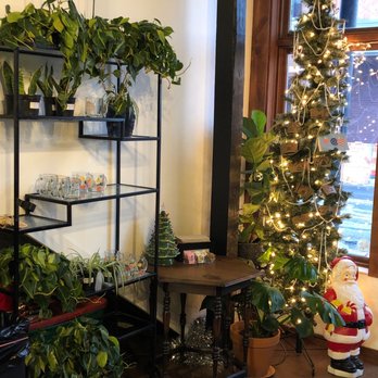 Fresh Pots - Christmas meets pots - Coffee & Tea Near Me - Greenwood, Indiana