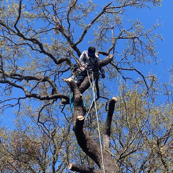 Grace Landscaping and Tree Service - Landscaping Near Me