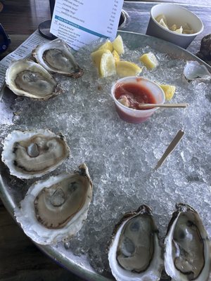 The Shuck Shack by null