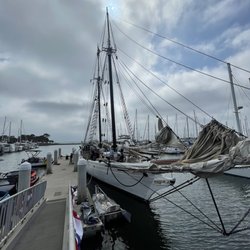 Schooner Bill of Rights