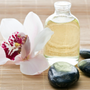 Photo of The Massage Collection